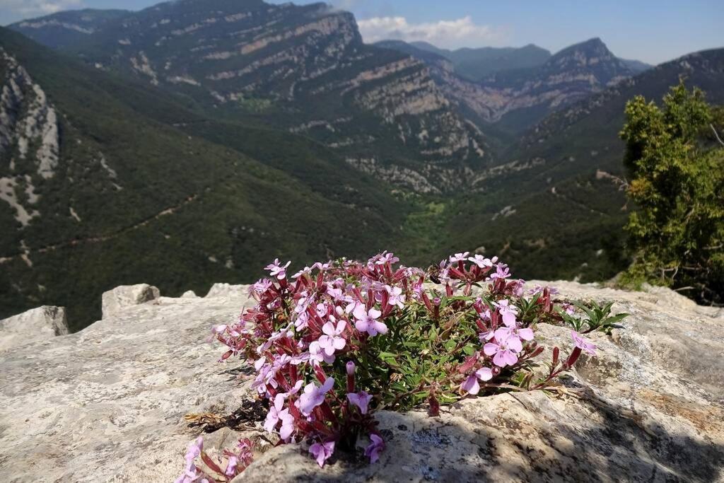 Appartamento Pont de Valenti Mountain Retreat Girona Esterno foto