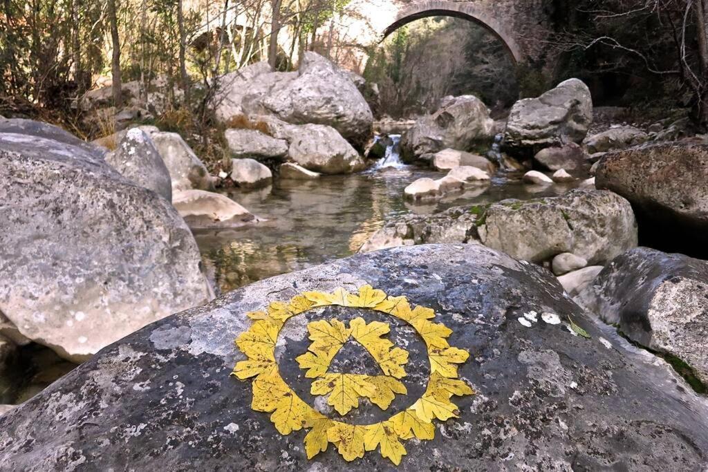 Appartamento Pont de Valenti Mountain Retreat Girona Esterno foto